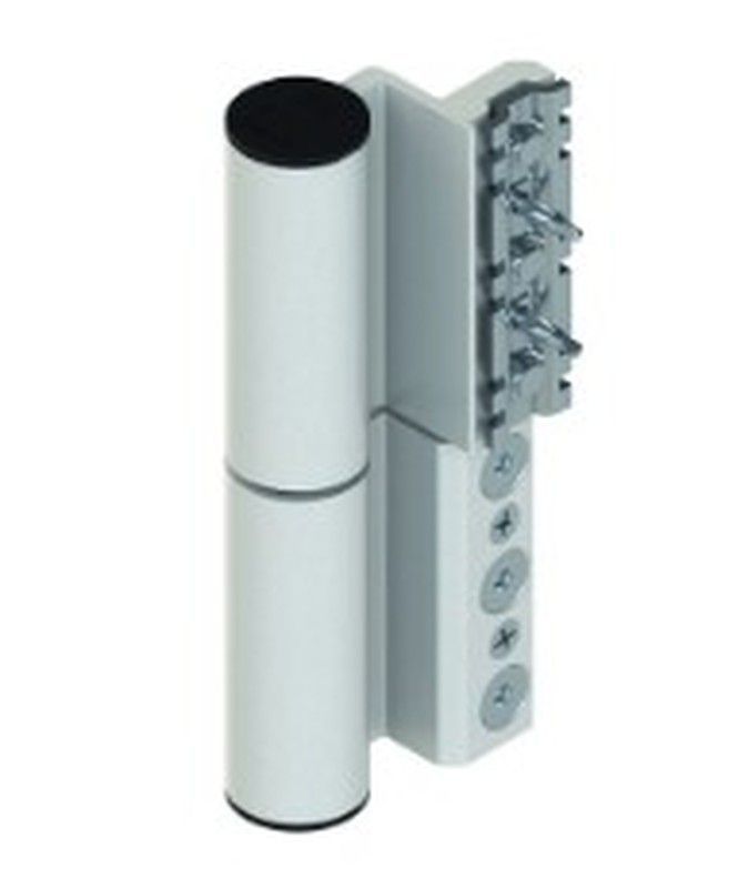 Bisagra fulcra celera.