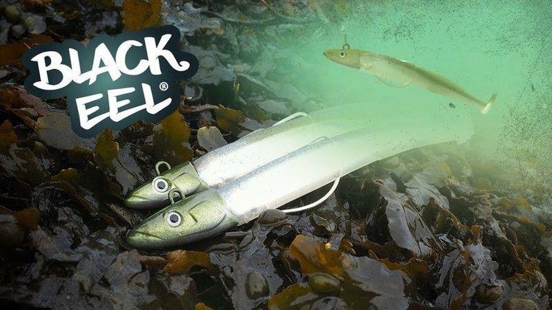 Black Eel 110