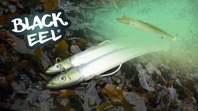 Black Eel 150
