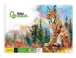 Bloc dibujo liderpapel artistico natura espiral 230x325mm 20 hojas 130g/m2 sin recuadro perforado