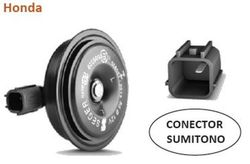 Bocina De Caracol Grave