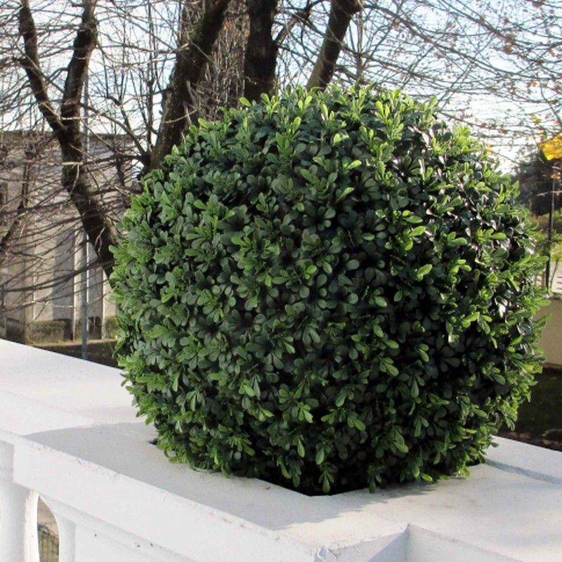 Boj Bola 44 cm Ignifuga artificial