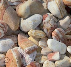 Bolo Rainbow 50/100 en saca grande