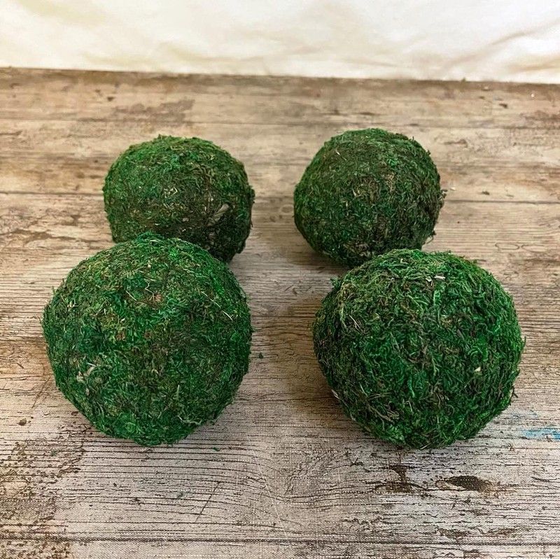 Bolos de Musgo Preservado Pack de 4