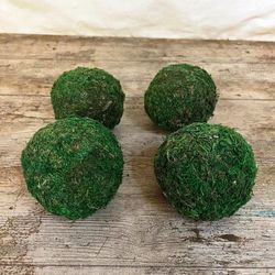 Bolos de Musgo Preservado Pack de 4