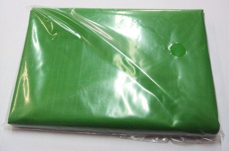 Bolsa disfraces 79 x 98 Verde