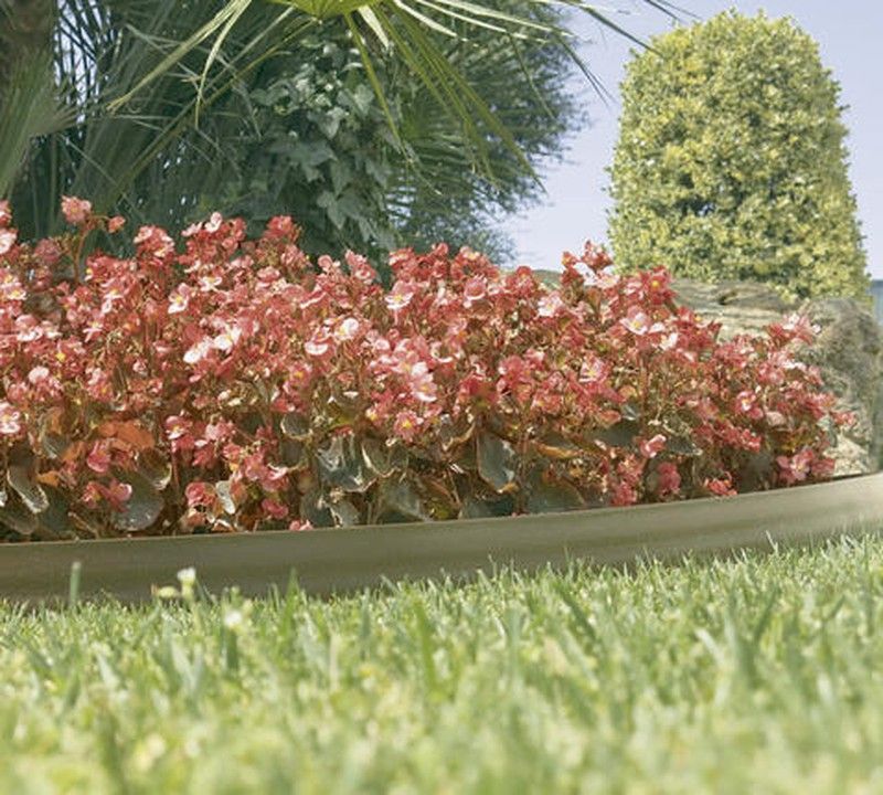 Bordura de jardín marrón Nortene