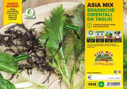 Brassicas De Corte Oriental 9 Plantas En Pack