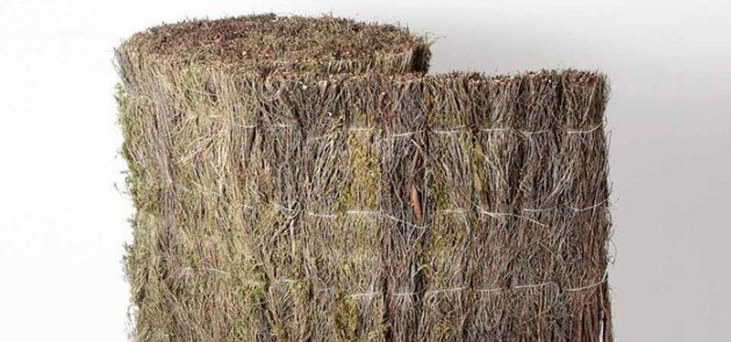 Brezo ocultación total