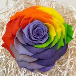 Cabezas de Rosas Preservadas XXL