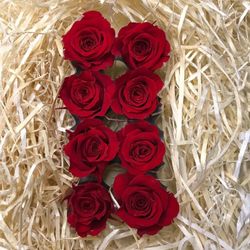 Cabezas Rosas Princesa Preservadas Caja 8 uds.