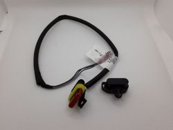 Cable Diagnostico Reprogramacion Omvl Dremotion Westport