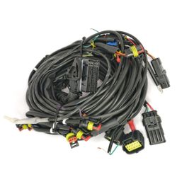 Cableado Centralita 5/6/8 Evo01 Tartarini