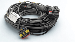 Cableado Centralita Inyecto 48 3-4 Cilindros Europegas