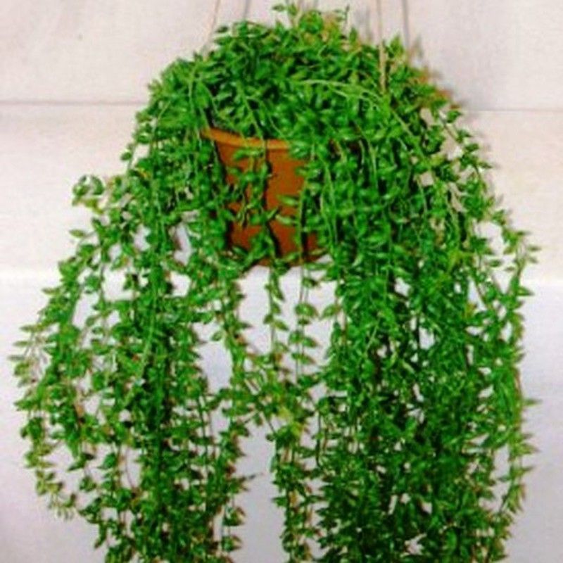 Cactus Colgante Artificial