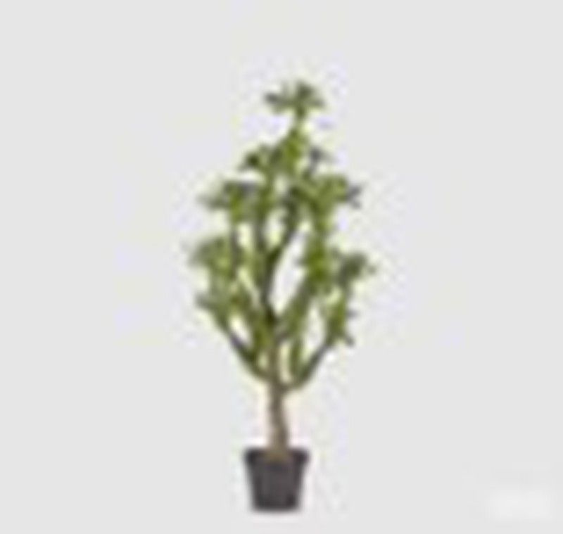 Cactus Oeste C/Vaso PVC H148 (SUCC) C0 VERDE