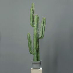 Cactus Valle de la Muerte, 160 cm