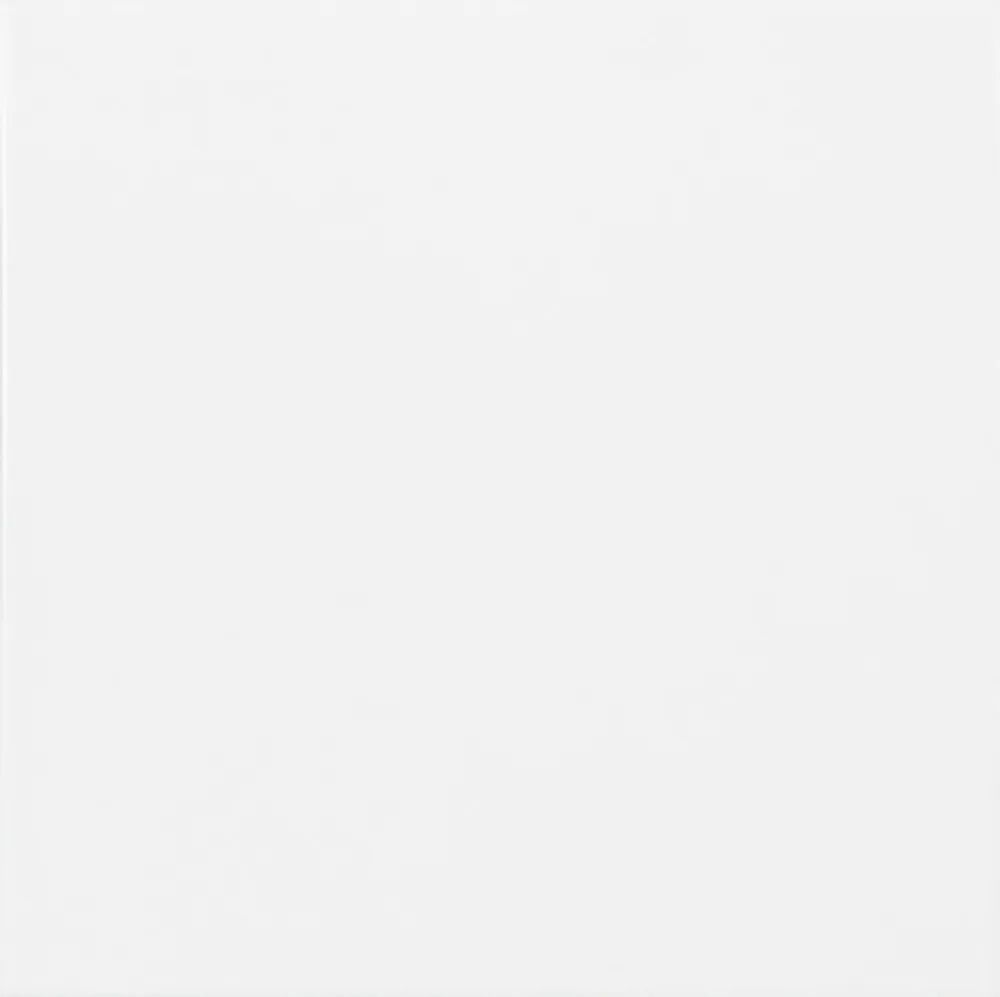 Caja Azulejo Liso Blanco Mate 20x20 cm Ribesalbes