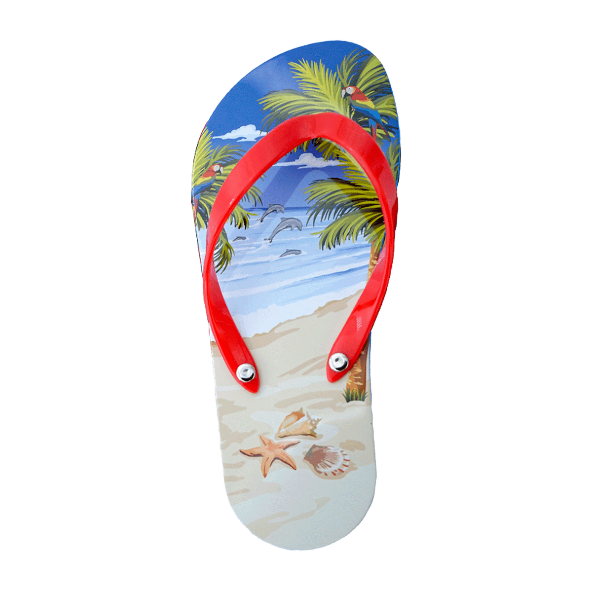 Caja Bombones Lata Chancleta Flip Flop (150gramos) de Chocoday