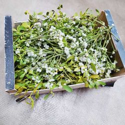 Caja de Muérdago a Granel Seleccionado