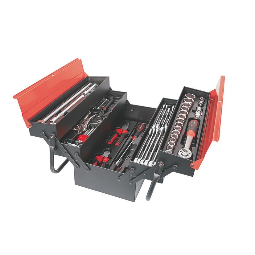 Caja Metalica 63 Pzas.Chr-V 5 Compartim.