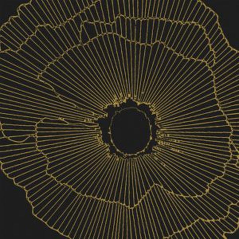 Caja Porcelanico Art-Deco Black Spiritz Natural 29,75x29,75  13pzas 1,15m2 Aparici