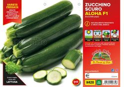 Calabacín Osuro Aloha F1 4 Plantas en Pack