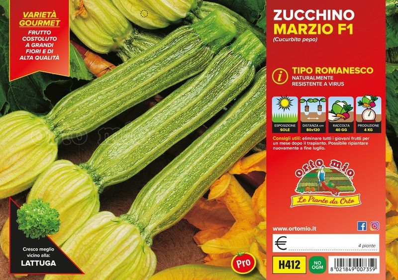 Calabacin Romanesco Floridus F1 4 Plantas en Pack