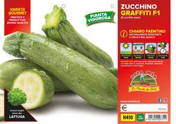 Calabacin Verde Claro Graffiti 4 Plantas En Pack