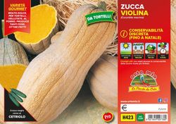 Calabaza Butternut Rugosa 4 Plantas en Pack