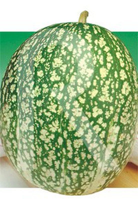 Calabaza cabello de angel sobre de 6gr