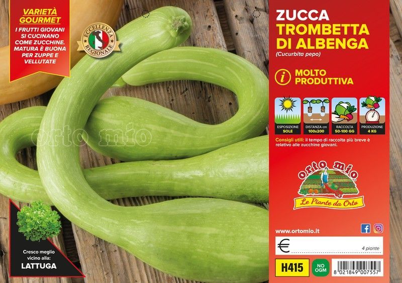 Calabaza Trompeta Albanga 4 Plantas en Pack