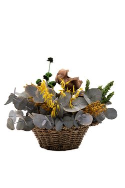 Campestre centro de flores secas y preservadas en color amarillo