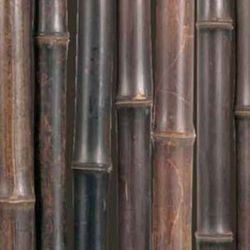 Caña bambú Nigra decoración étnica