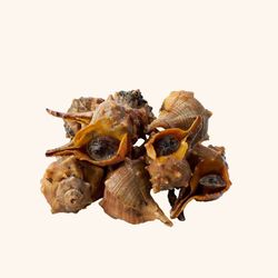 Cañaílla  viva del mediterráneo  (500g)