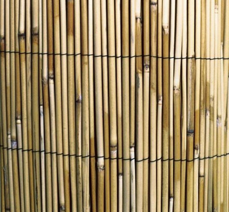 Cañizo bambú chino fino
