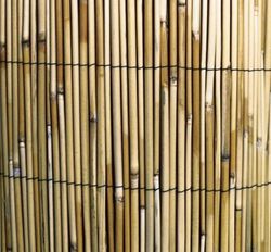 Cañizo bambú chino fino