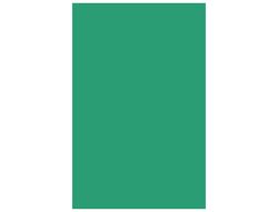 CANSON Cartulina 50 Hojas A4 Verde Amazonas 185 gr 200040174