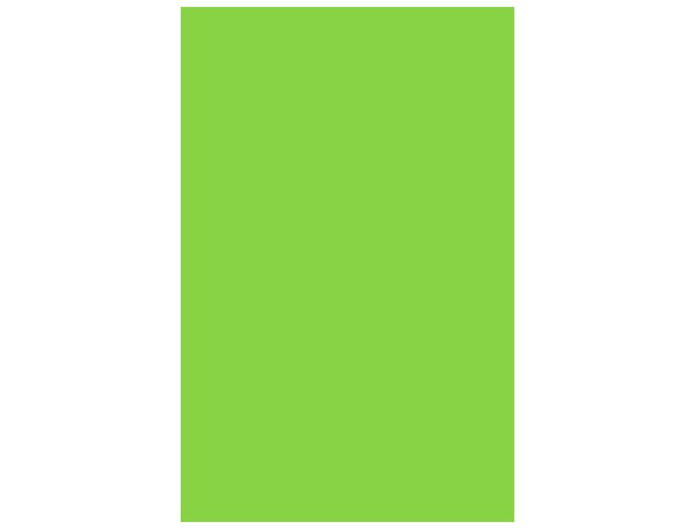 CANSON Cartulina 50 Hojas A4 Verde manzana 185 gr 200040171