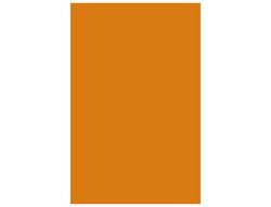 CANSON Cartulina IRIS 50 Hojas A3 Naranja 185 gr. 200040188