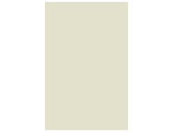 CANSON Cartulina IRIS 50 Hojas A4 Crema 185 gr. 200040153