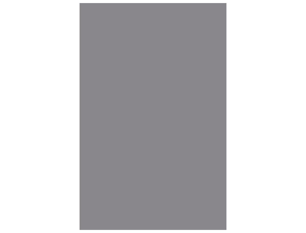 CANSON Cartulina Iris 50 Hojas A4 Gris perla 185 g 200040177