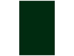 CANSON Cartulina IRIS 50 Hojas A4 Verde abeto 185gr 200040173