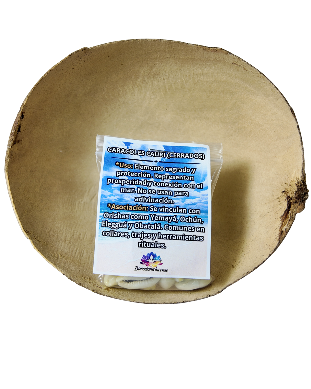 Caracoles Cauri Cerrados para Prosperidad y Conexión Sagrada