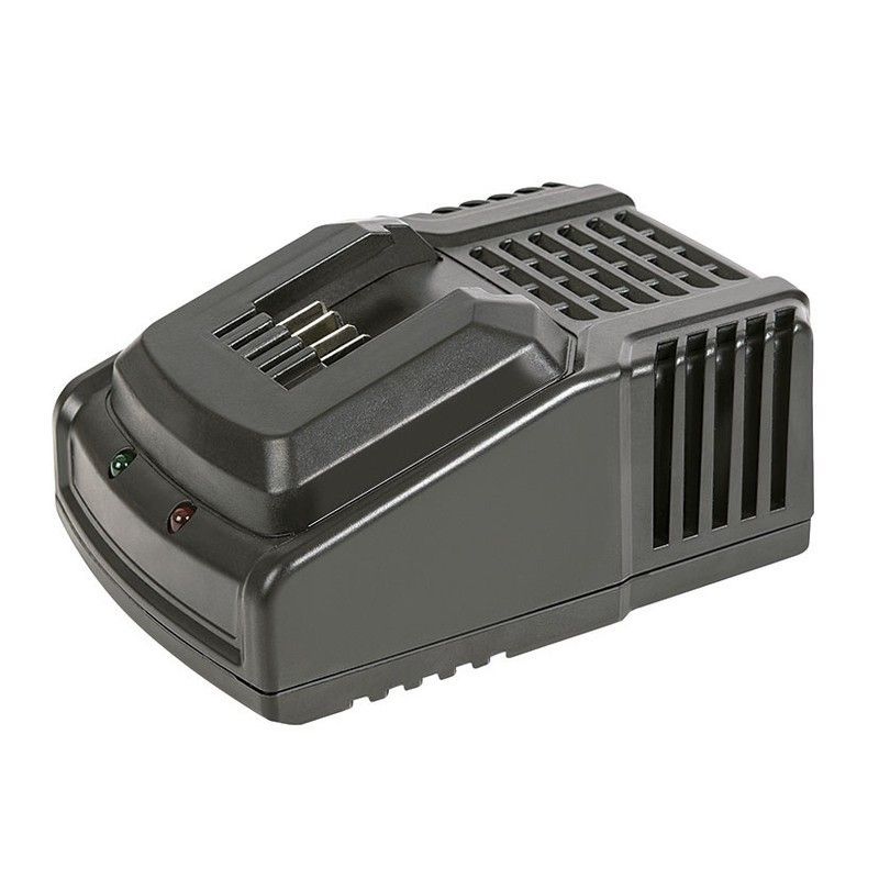 Cargador rápido baterías Share System RATIO Carga rápida en 1,5 horas., Referencia 7993X367CARG