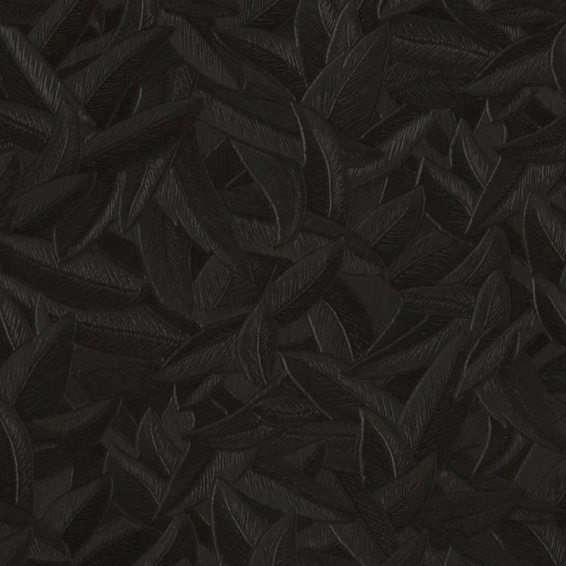 CARLOMAGNO 2-Papel pintado plumas negro, 1005x70 cm