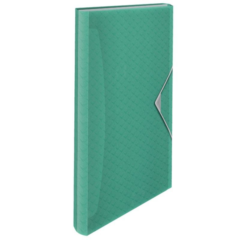 Carpeta acordeón Esselte Colour'Breeze PP. Con 6 separadores, verde