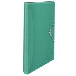 Carpeta acordeón Esselte Colour'Breeze PP. Con 6 separadores, verde