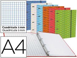Carpeta con Recambio Liderpapel A4 Cuadro 5Mm Forrada 4 Anillas 20Mm