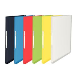 Carpeta de fundas Esselte Vivida. PP. Tapas Flexibles. 60 fundas. DIN A4, surtidos